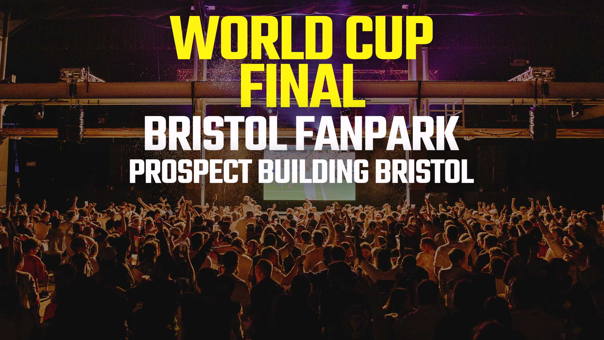 The World Cup Final