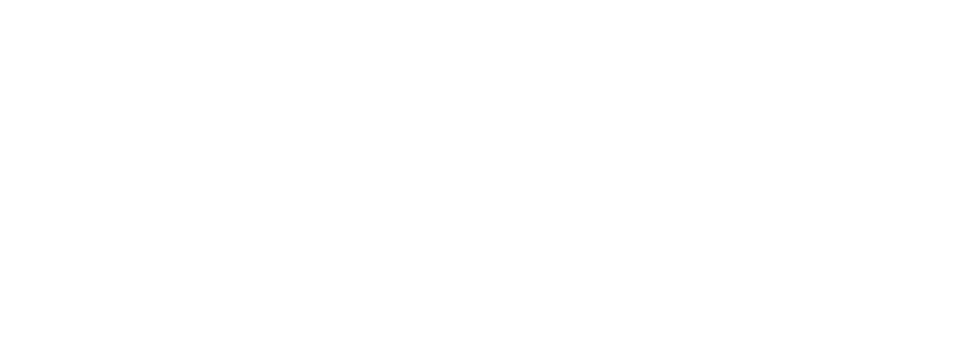 4 The Fans